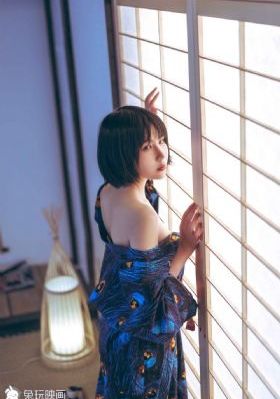 天堂视频在线_DVD高清完整版