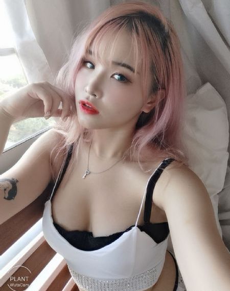 在线免费电影网站_DVD免费观看视频