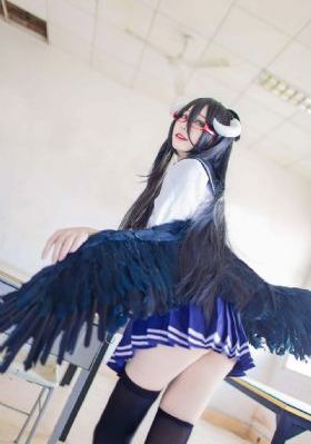 免费看88xxinfo视频_DVD在线视频播放