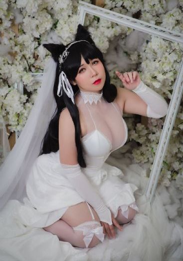 8060新视觉_1080P免费观看电视剧